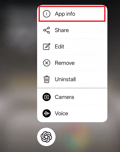 App Info screen for ChatGPT