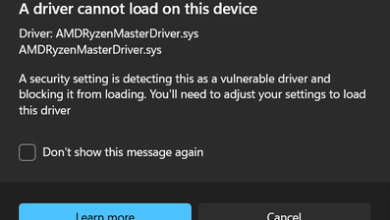 Image of the AMDRyzenMasterDriver.sys error
