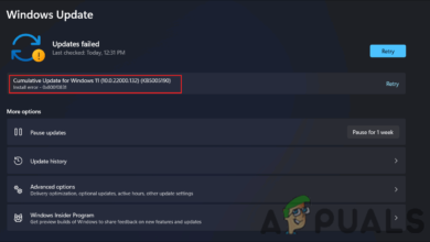 Update Error 0x800f0381 in Windows 10 and 11