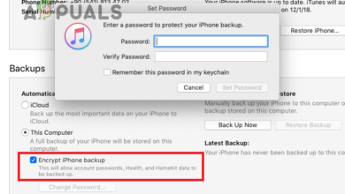 Remove iTunes encryption