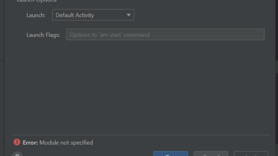 Module not specified error